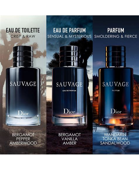 dior macy's perfume|Dior sauvage parfum Macy's.